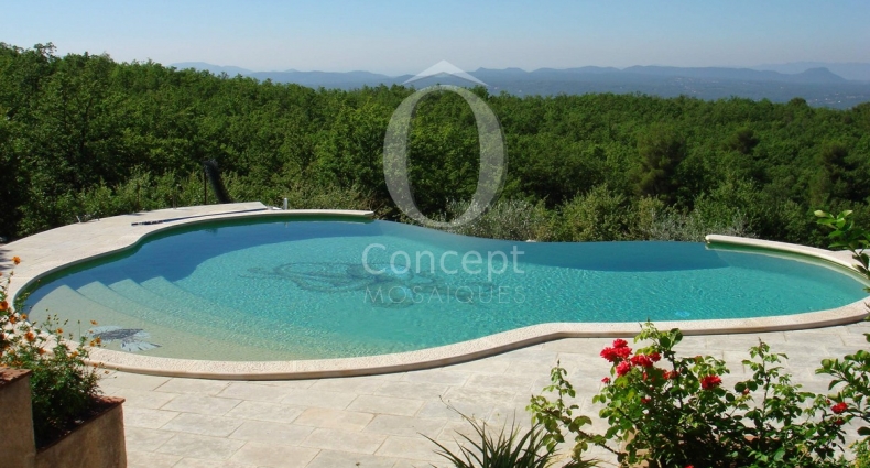 OConcept_decors_piscine rascasse